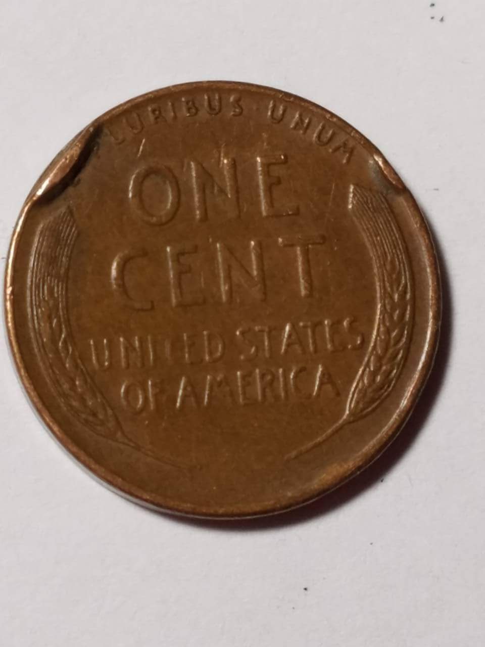 1951-D-Wheat-Penny,-Good-Condition.--Clamp-Mark?-Doubtful-PMD.?!.?
